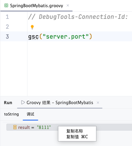 groovy_debug_result
