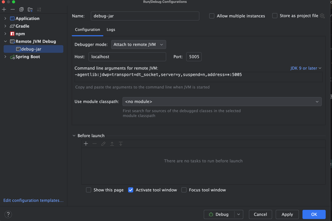 idea_remote_debug.png