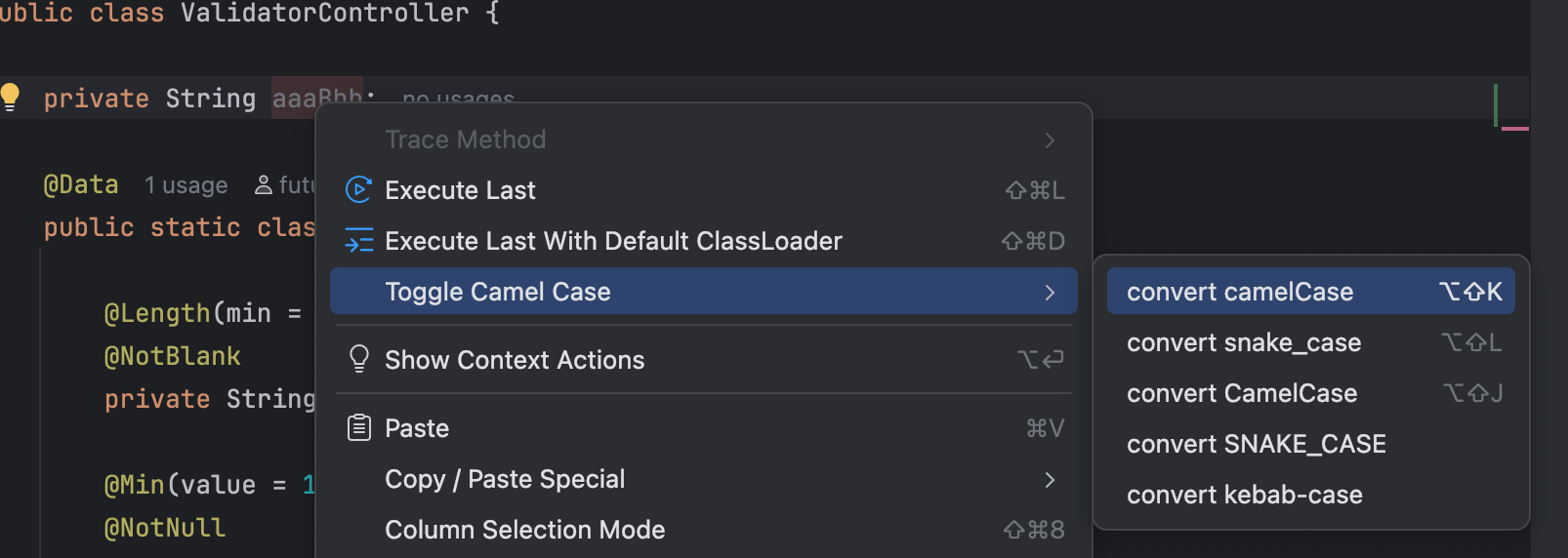 main_camel_case.png